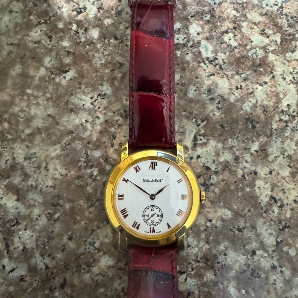 Luxury Watch Mechanical Wind Manual